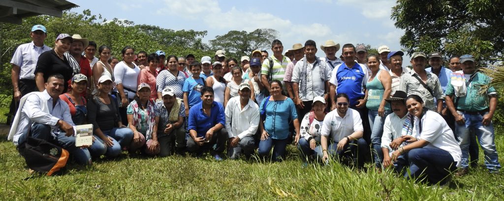 Mecanismos Alternativos de Solución de Conflictos y Justicia Comunitaria